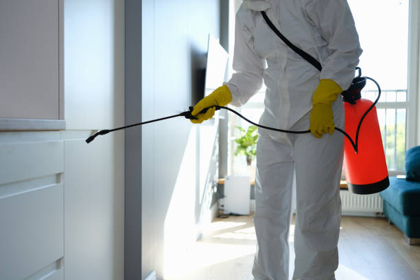 Best Crawl Space Mold Remediation in East Richmond Heights, CA